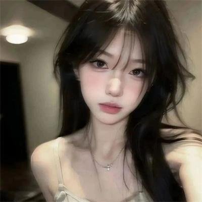 拯救林肯